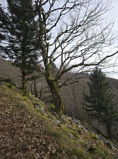 Foto von Michel Kennel entlang der Tour