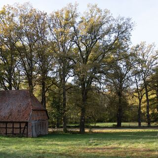 Alte Scheune auf der Wiese