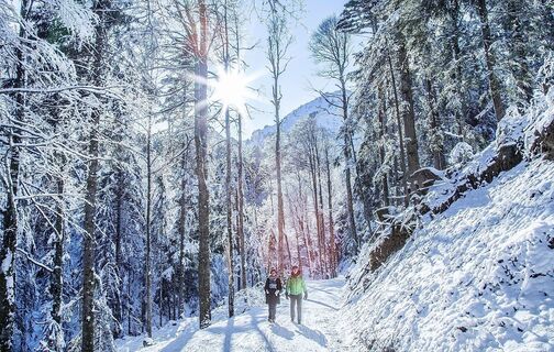 Winterwandern in Schetteregg