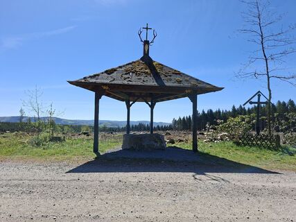 Foto de Georg Meisterjahn a lo largo del recorrido
