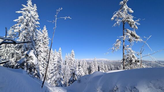 Fotografie z TaNja85 na trase