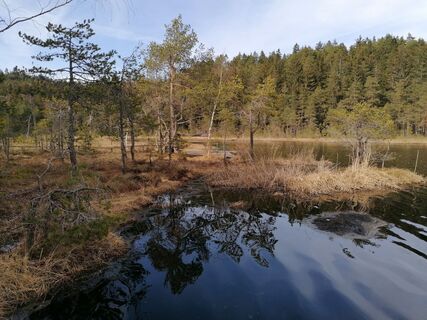 Fotografia z Dagmar Hofer na trase
