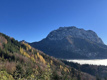 Foto van Barbara Berger langs de tour