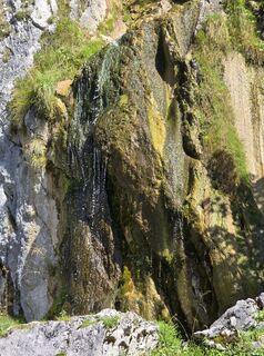 Photo de Domenic Beyrowski le long du parcours