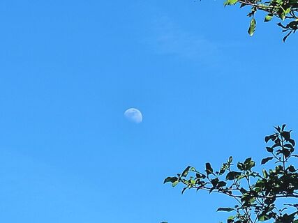 Fotografija s spletne strani mmecki na poti