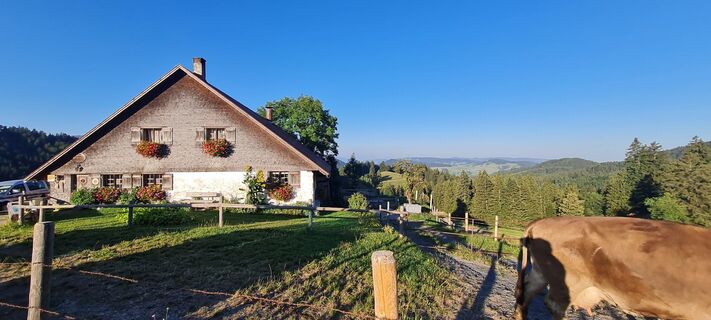 Zdjęcie z Bps Wiedemann wzdłuż trasy
