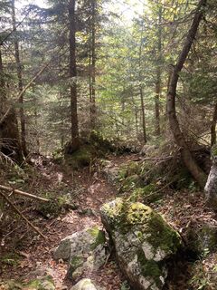 Foto von Maria Kogler entlang der Tour