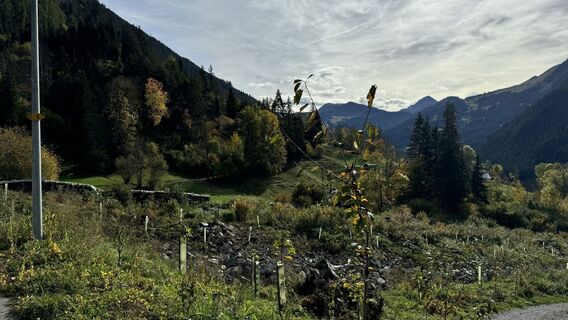 Photo de peter_oe le long du parcours