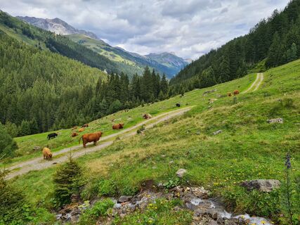 Foto von Rudi Weißenbacher entlang der Tour