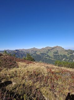 Foto von sylvia entlang der Tour