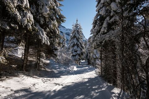 Winterwanderweg-Scheibe-Piösmes-Runde
