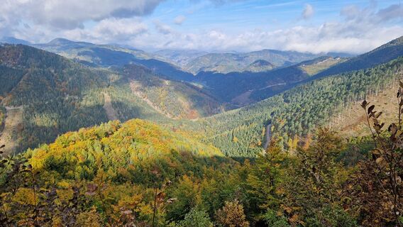 Foto von Ernst Brezina entlang der Tour