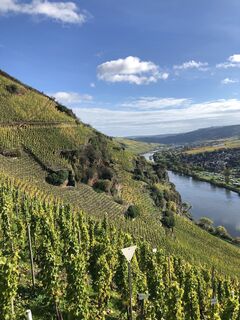 Photo de Ruud Oligschlager le long du parcours