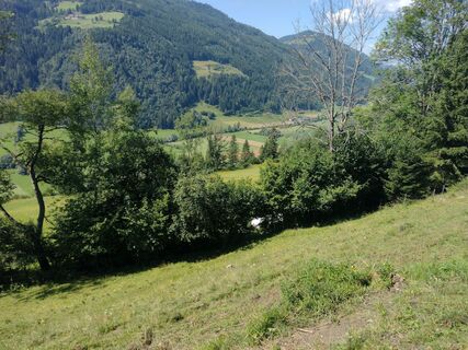 Photo de Peter Fasol le long du parcours