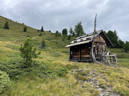 Foto från Stefan Otto under resans gång