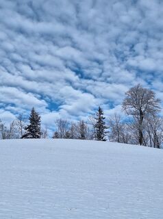 Foto von Mimi entlang der Tour