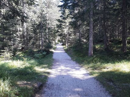 Wildmoosalm