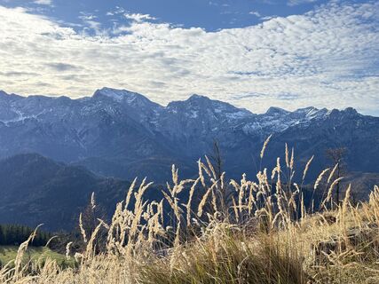 Photo from Natur_erleben_dg along the tour