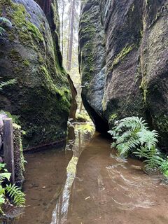 Foto von Peter Hartman entlang der Tour