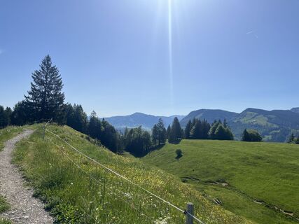 Fotografia z Terence Rose na trase
