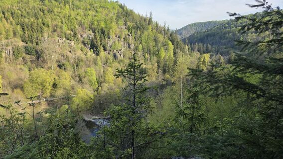 Foto von Berg504 entlang der Tour