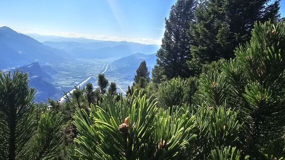 Fotografija s spletne strani Marlyse Leu na poti