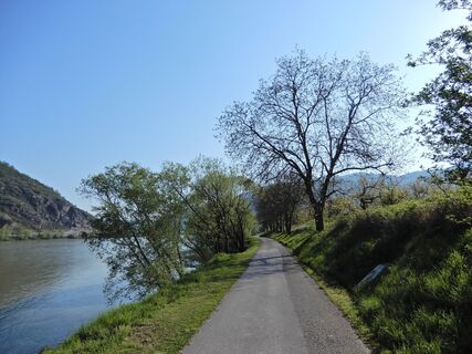 Hofarnsdorf - Oberkienstock - Seekopf - Schenkenbrunn - Gansbach