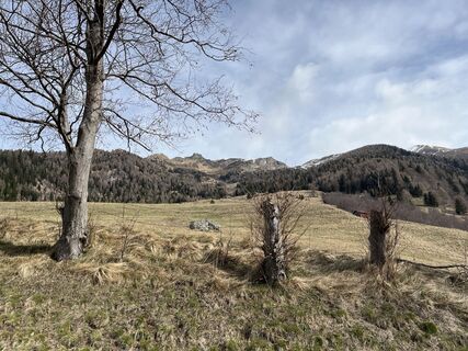 Foto von Jan Bischof entlang der Tour