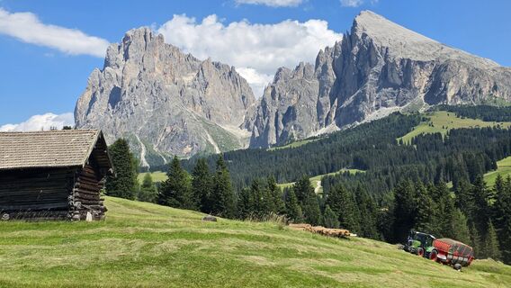 Fotografija s spletne strani kahlesza na poti