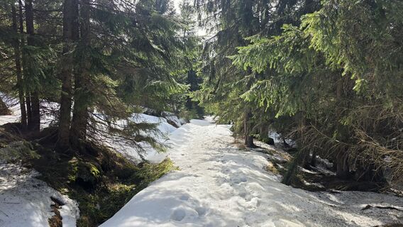 Fotografia z Stefan na trase