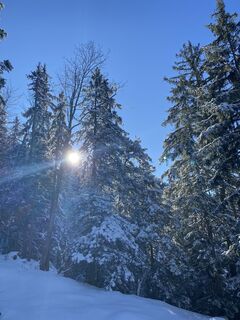 Fotografia z Michael BAUER 14 na trase