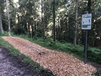 Station 4 Trimm-Dich-Pfad Schönwald