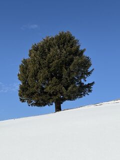 Fotó a Heinz Sperl honlapról a túra során