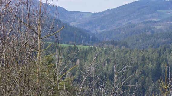 Fotografia z prager64 na trase