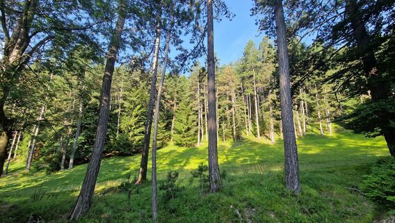 Fotografija s spletne strani EP87 na poti