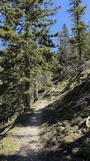 Photo de Tommax le long du parcours