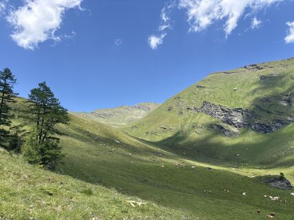 Fotografija s spletne strani julchen na poti