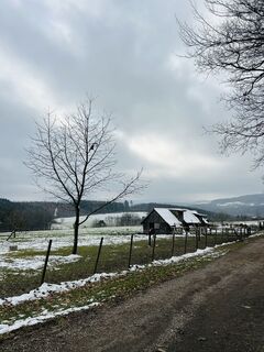 Foto von Kellner Heidi entlang der Tour