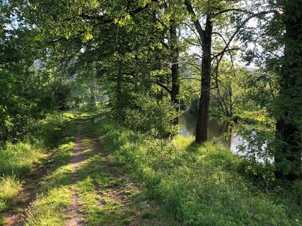 Saaletrail bei Reschwitz