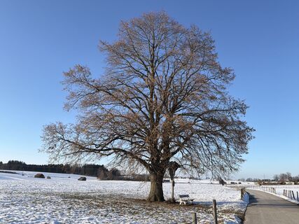 Foto de Anita Maigler a lo largo del recorrido