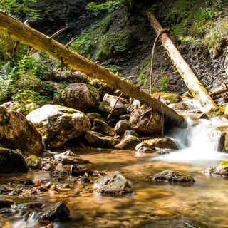 Die Reichenbachklamm
