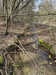 Foto de Robert Danylovskyi a lo largo del recorrido