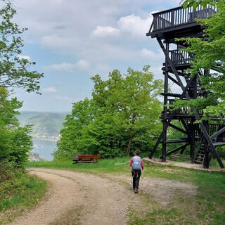 Turm am Siebenburgenblick