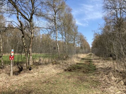 Oppenweher Moor