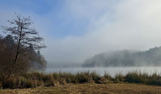 Foto von weichbo entlang der Tour