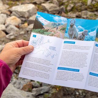 europäischer fernwanderweg - e5 – königsetappe – von der braunschweiger hütte nach zwieselstein (originalroute)_img_32433897