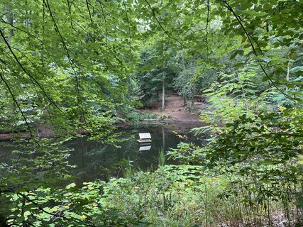 Foto von Arthur Muskalla entlang der Tour