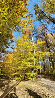 Fotografia z Kellner Heidi na trase