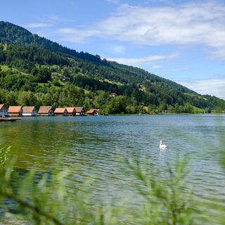 Großer Alpsee