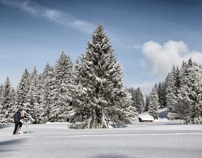 Unterwegs in der Schneeschuh-Arena Prättigau